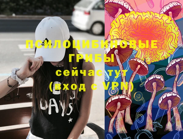 крисы Алексеевка