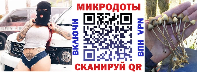 ссылка на мегу как войти  мориарти телеграм  Галлюциногенные грибы Magic Shrooms  Муром 